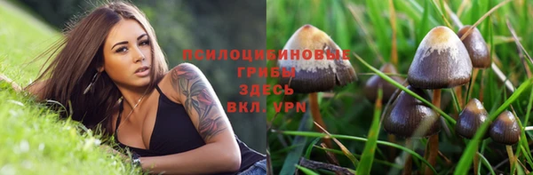 спайс Абаза