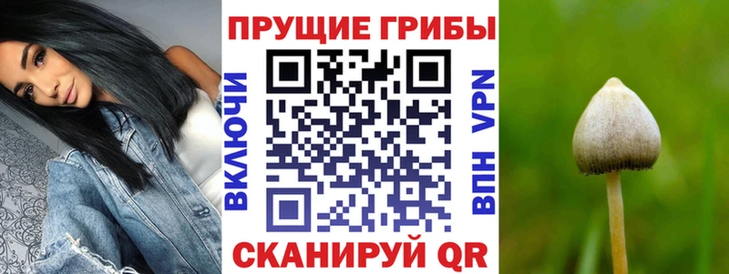 Псилоцибиновые грибы MAGIC MUSHROOMS  Норильск 